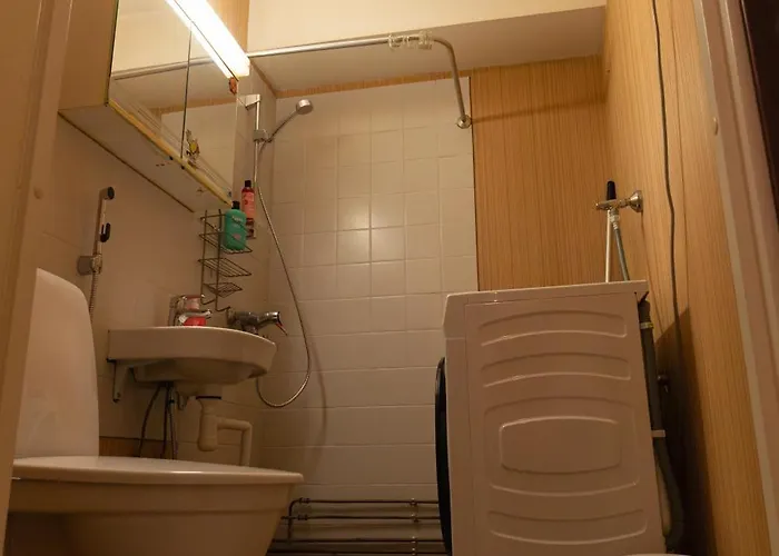 Northern Lights Elia's * Rovaniemi